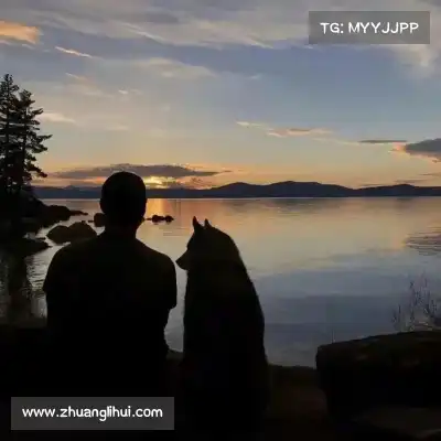 屈芸纯